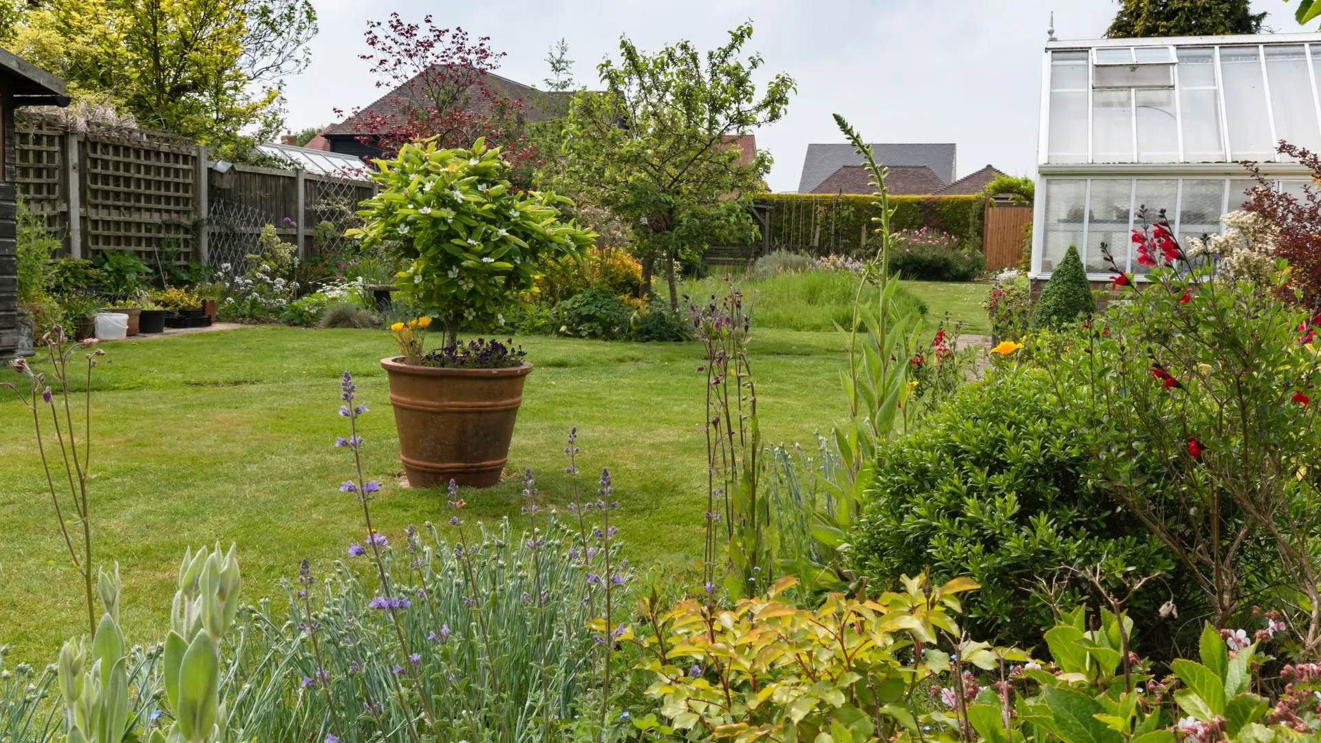 Lush garden landscape