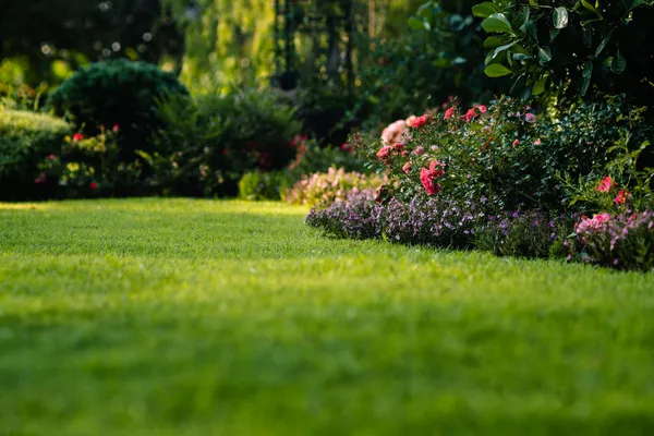 Beautiful garden lawn