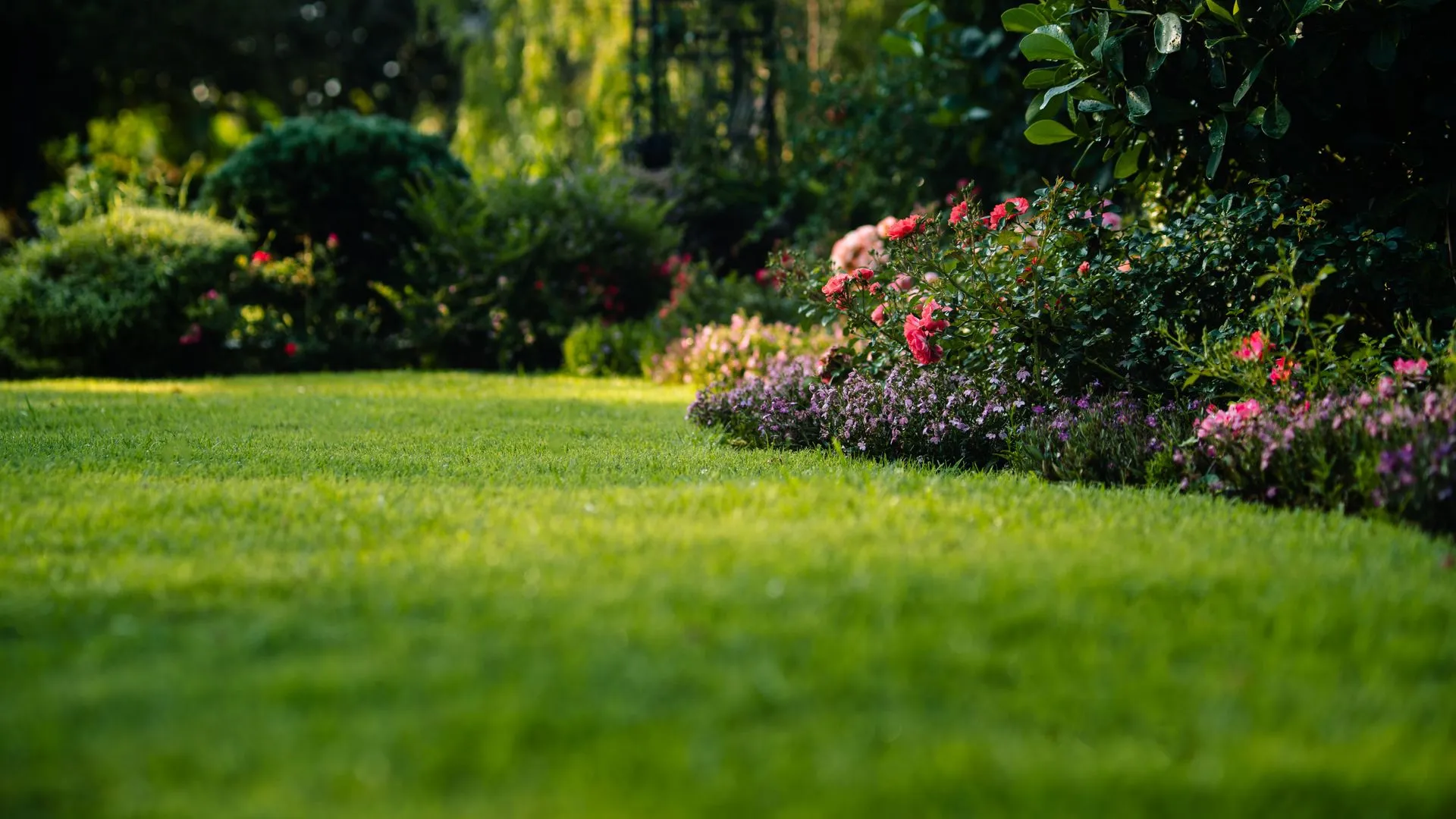 Beautiful landscaped garden
